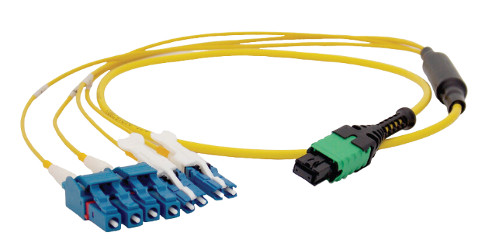 Close up of a 3mm Backbone Assembly, click for more information about 3mm Backbone Assemblies.